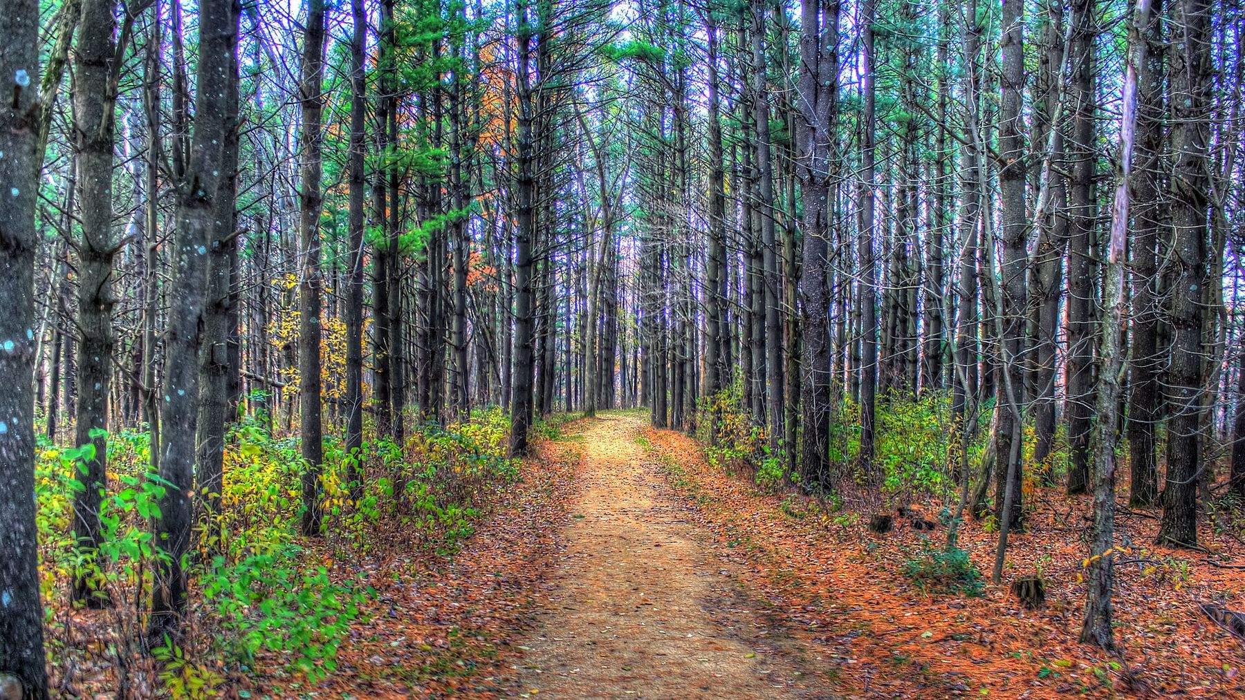 Ontario, Wisconsin