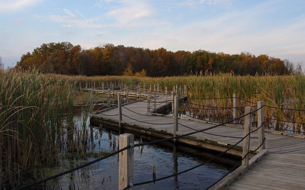 Horicon Marsh
