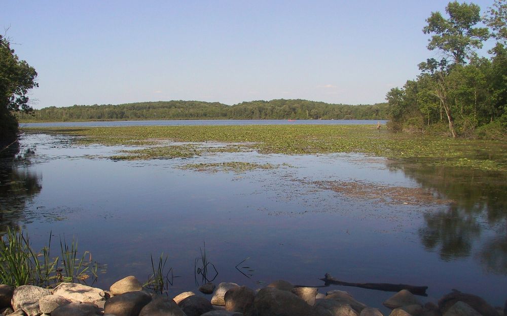 Mauthe Lake Recreation Area