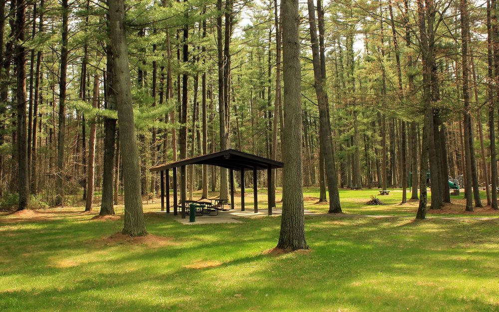 Rocky Arbor State Park
